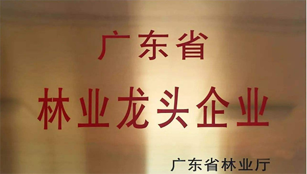 榮獲“2020 年廣東省林業(yè)龍頭企業(yè)”榮譽稱號