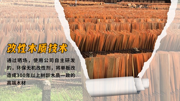 核心科技『改性木質(zhì)技術(shù)』